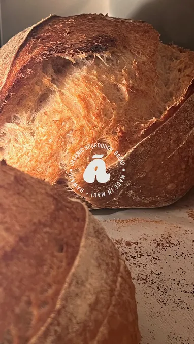 Artisan Bread